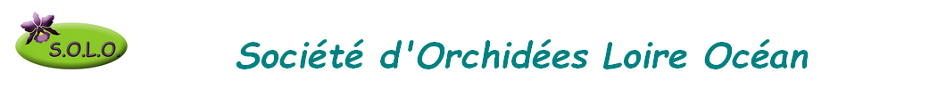 Société d'Orchidées Loire Océan